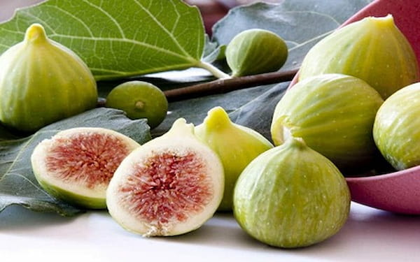 تصویر 3 از خرید انجیر سفید عسلی + قیمت فروش استثنایی